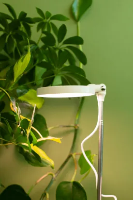 Adjustable LED Plant Light